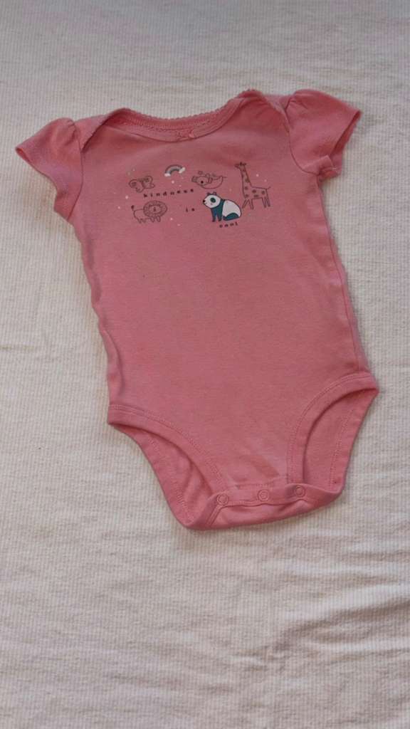 Body 6 meses